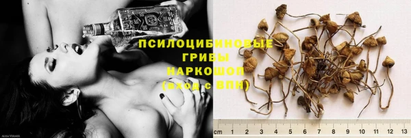 Альфа ПВП Мегион
