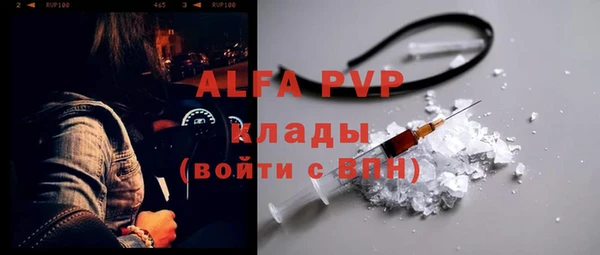 прущие грибы Магадан