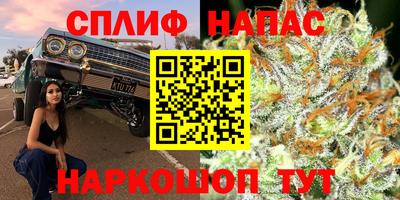 прущие грибы Бузулук