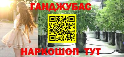 PSILOCYBIN Бугуруслан