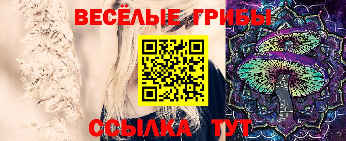 где можно купить   Домодедово  Псилоцибиновые грибы MAGIC MUSHROOMS  Галлюциногенные грибы ЛСД 